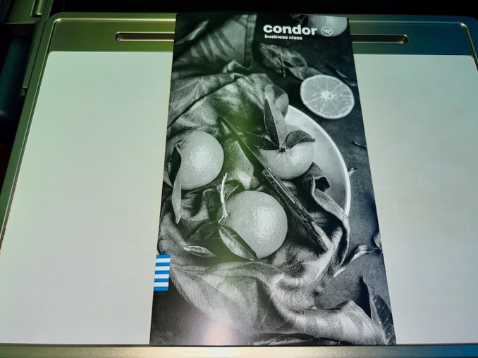 CONDOR A330NEO BUSINESS CLASS PRIME SEAT